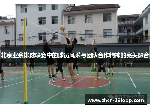 北京业余排球联赛中的球员风采与团队合作精神的完美融合